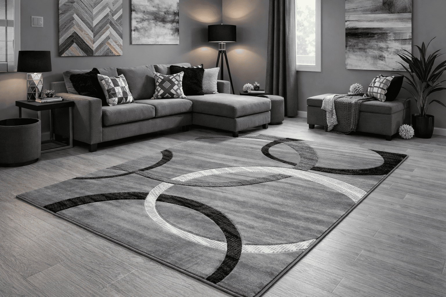 Modern Area Rug with Abstract Rings Design, Black Silver Grey Contemporary Living Room Carpet